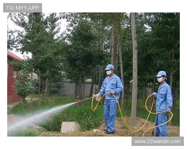 探索z6尊龙官网：畅享全新在线娱乐体验