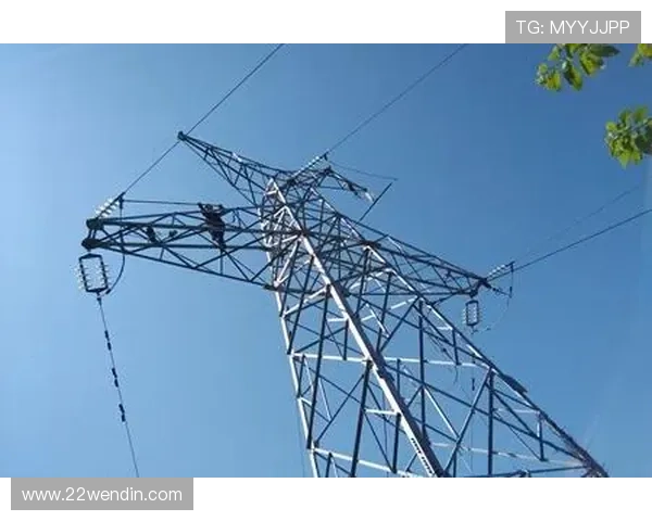 百利宫线路检测中心:专业高效的线路检测服务平台